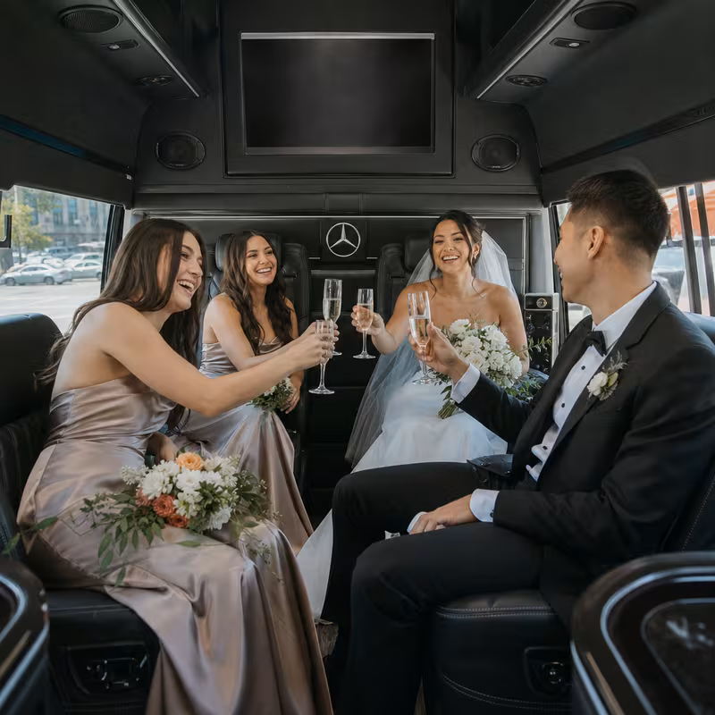Black Mercedes Sprinter van staged for an Naperville Wedding Transportation group