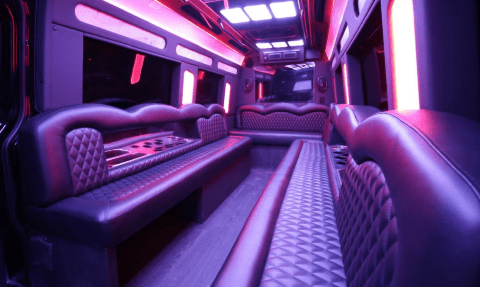 Des Plaines 14 Passenger Sprinter Bus Interior