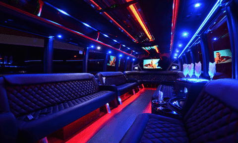 Hammond 30 Passenger Party Bus Black Interior